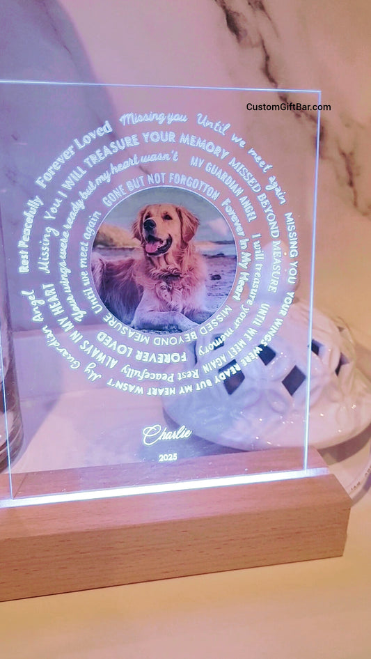 Pet Memorial LED Keepsake light